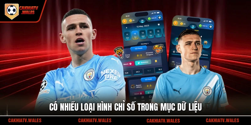 Có nhiều loại hình chỉ số trong mục dữ liệu 